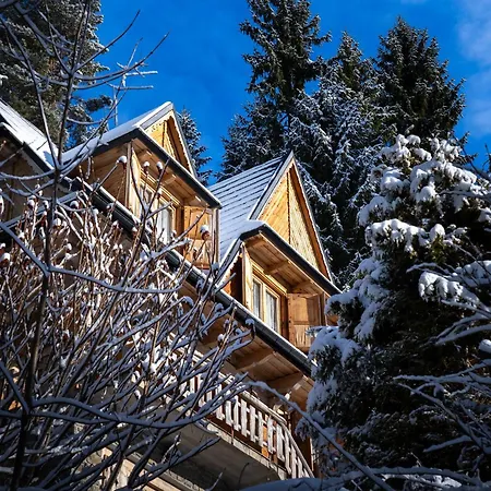 别墅 Szlembark Knurow (Lesser Poland)